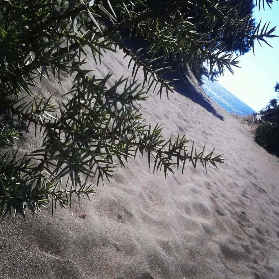 Cedrus And Sea, Beachfront House, Gennadi, Rhodes 외부 사진