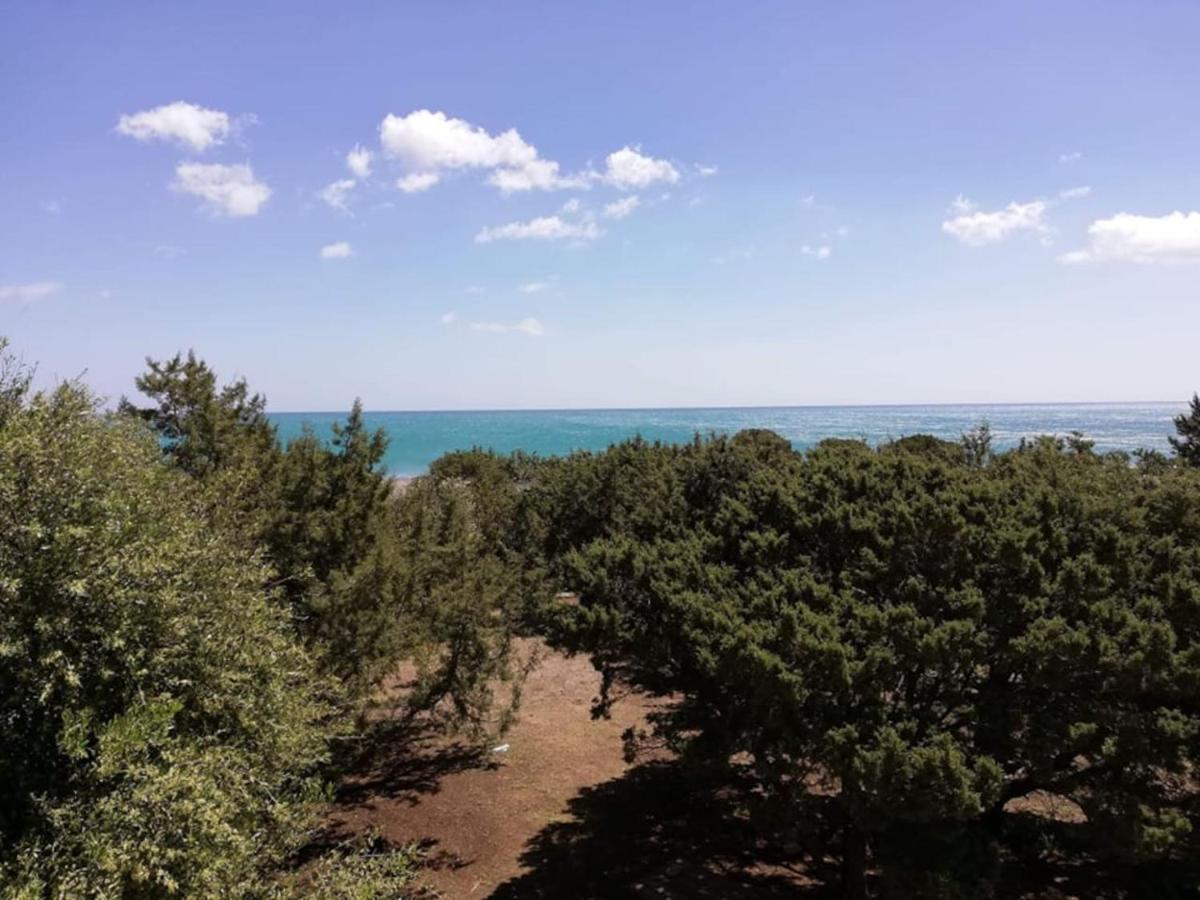 Cedrus And Sea, Beachfront House, Gennadi, Rhodes 외부 사진